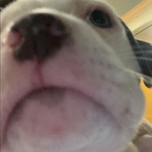 Meet your Posher, Edwina